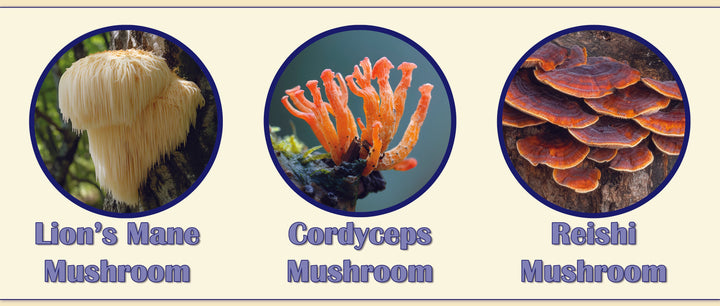 What Is Mushroom Coffee? Taste, Tradition & Who It’s For