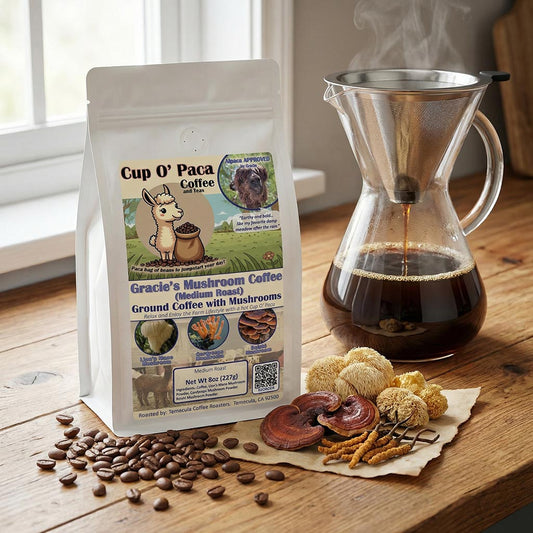 Gracie's Mushroom Coffee | Medium Roast